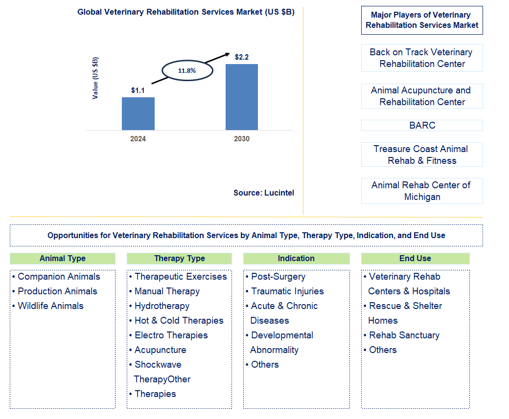 Veterinary Rehabilitation Services Trends and Forecast